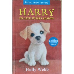 HARRY, un catelus fara adapost - Holly Webb