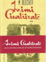 Inimi cicatrizate - Max Blecher