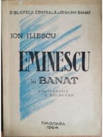 Eminescu in Banat - Ion Iliescu