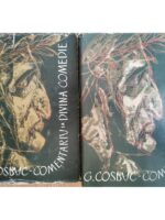 Comentariu la Divina Comedie (2 vol.) - George Cosbuc