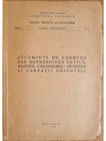 Zacaminte de carbuni din Depresiunea Getica, Bazinul Caransebes-Mehadia si Carpatii Orientali